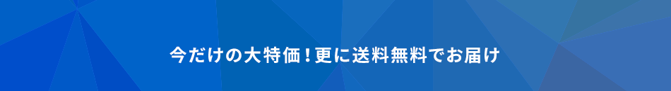 今だけの大特価！更に送料無料でお届け