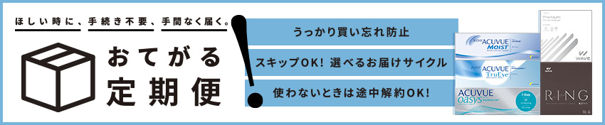 お手軽定期便